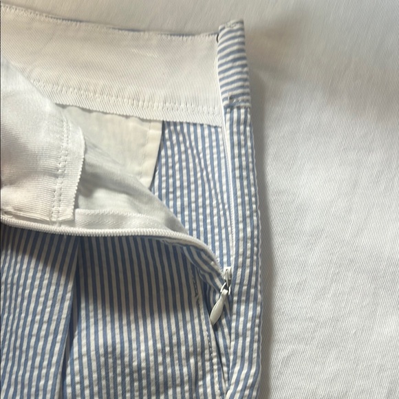 J. Crew Light Blue 100% Cotton Pinstripe Shorts Tailored Fit - Picture 2 of 10
